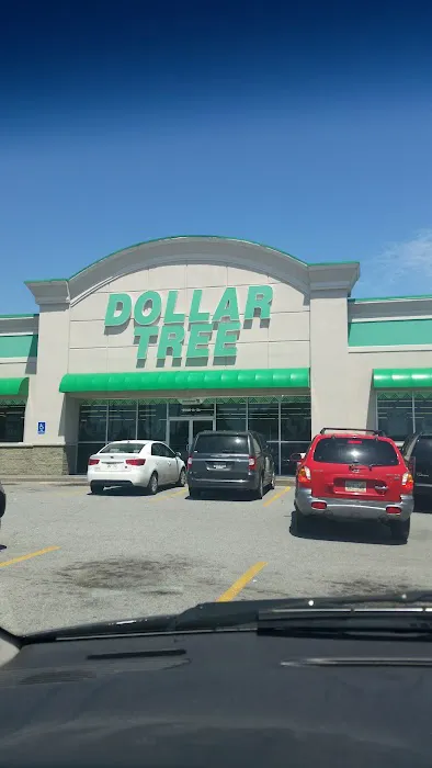 Dollar Tree 4