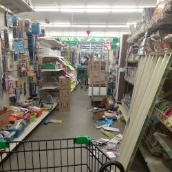 Dollar Tree ico