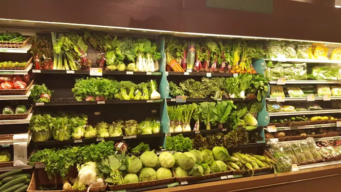 Publix Super Market at Springs Plaza 1