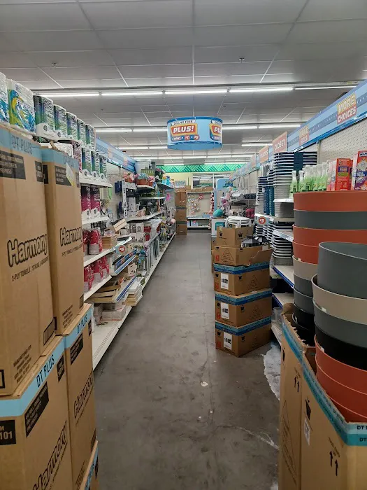 Dollar Tree 4