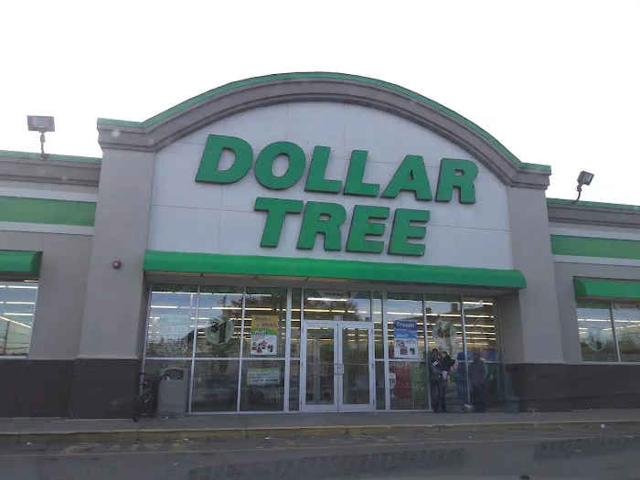 Dollar Tree 5