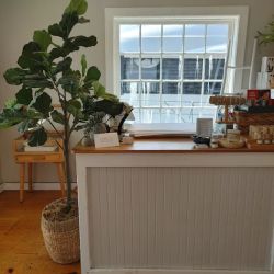 Saltwater Living ico