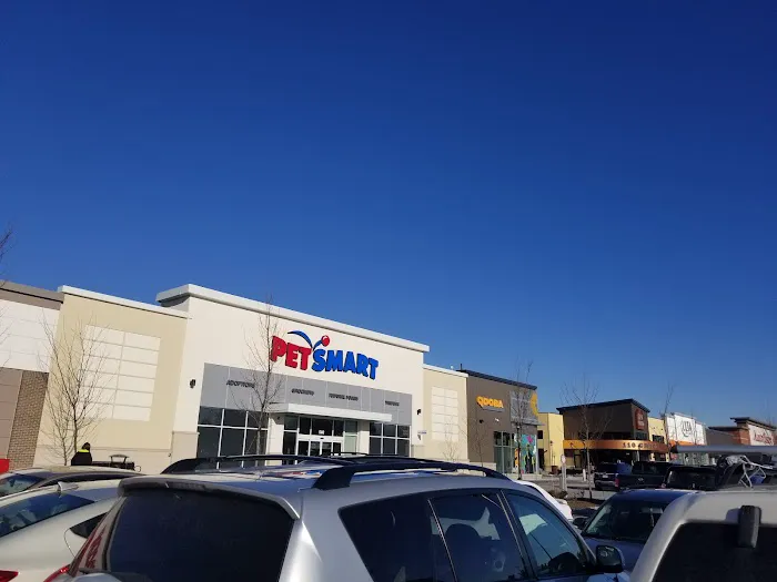 Five Below 1