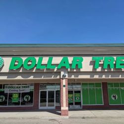 Dollar Tree ico