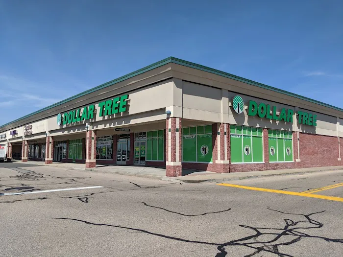 Dollar Tree 1
