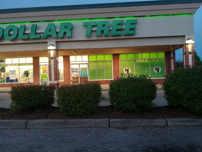 Dollar Tree 7