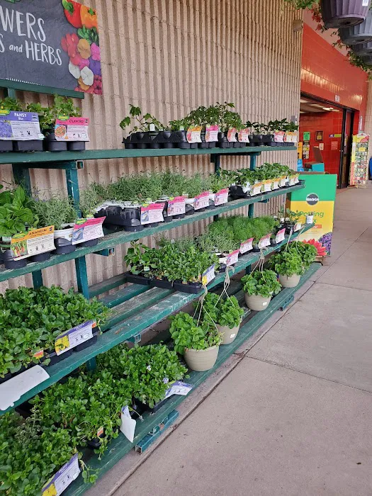 King Soopers 6