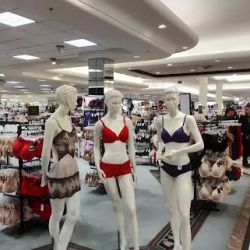 Dillard's ico