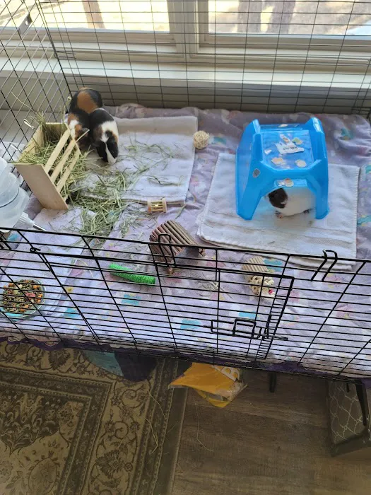 Petco 4
