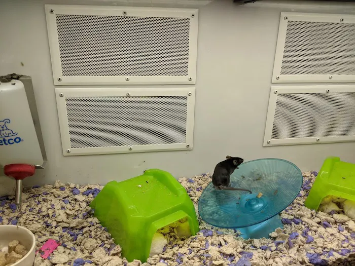 Petco 8