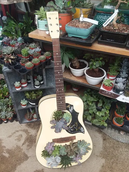 Strader's Garden Center 4
