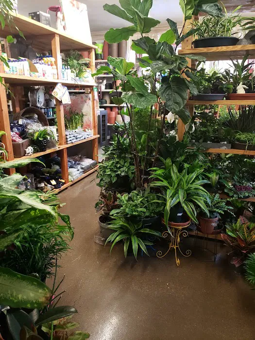 Strader's Garden Center 1