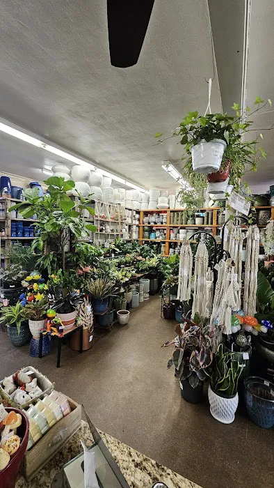 Strader's Garden Center 3