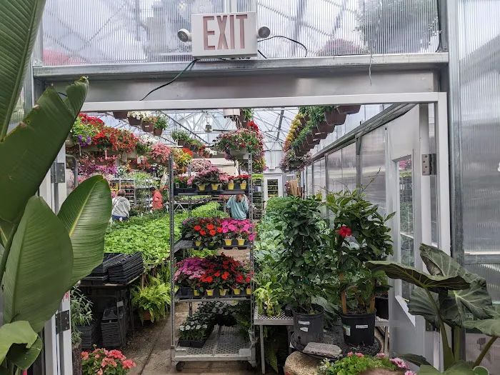 Strader's Garden Center 2