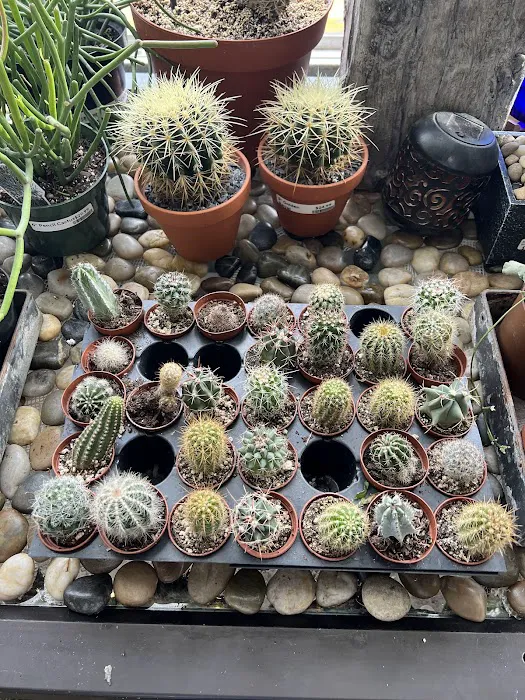 Strader's Garden Center 8