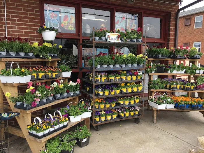 Strader's Garden Center 7