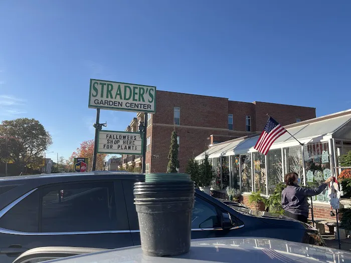 Strader's Garden Center 9