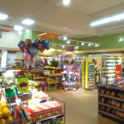 Stop & Shop ico