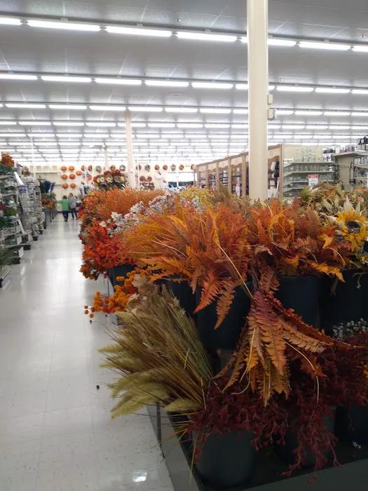 Hobby Lobby 6