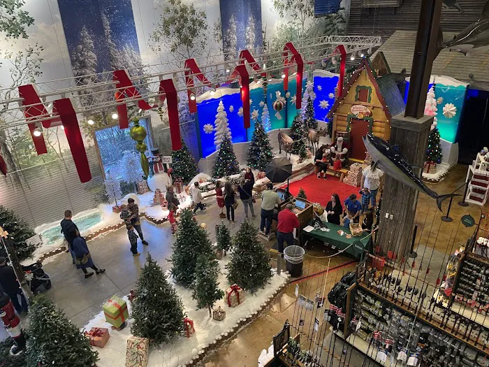 Bass Pro Shops 4