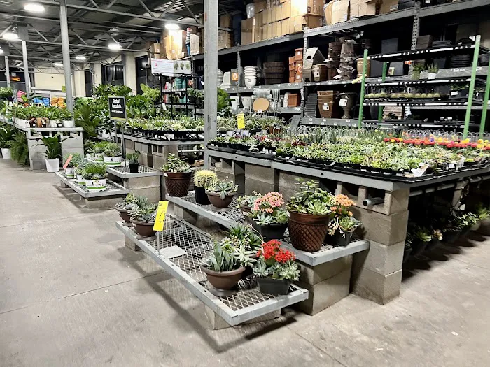 The Home Depot 6