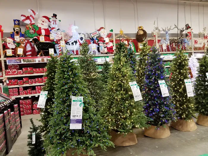The Home Depot 8