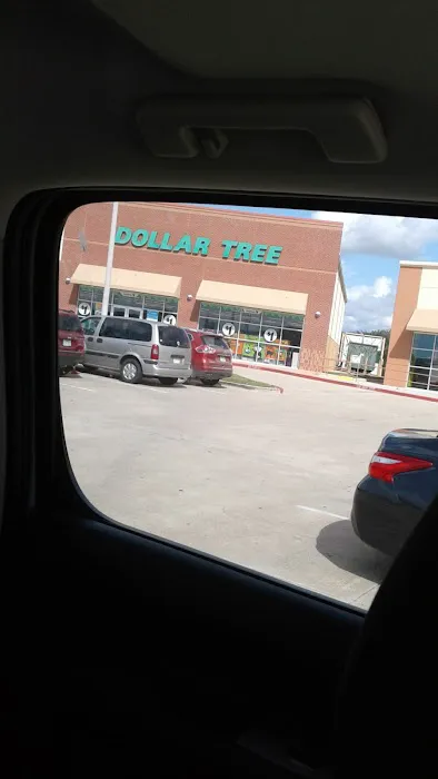 Dollar Tree 8