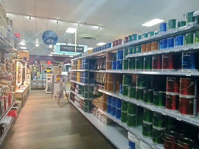 Ace Hardware College Station 1