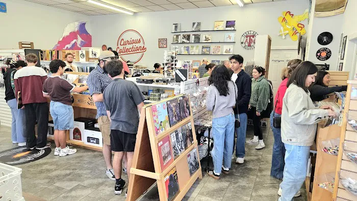 Curious Collections Vinyl Records & More 2
