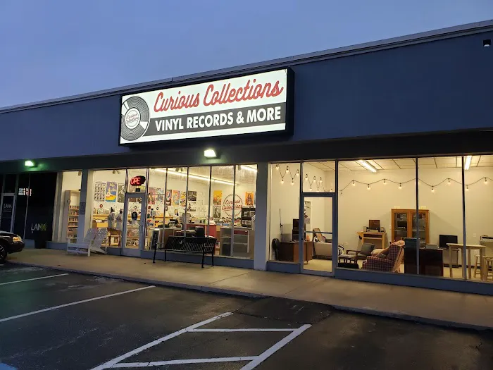 Curious Collections Vinyl Records & More 1
