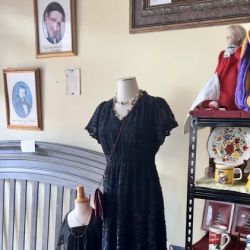 St. Vincent de Paul Thrift Store ico