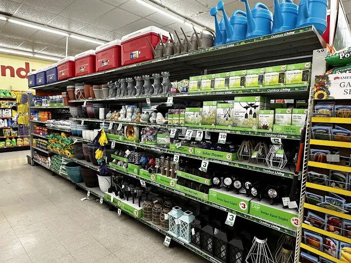 Family Dollar 4