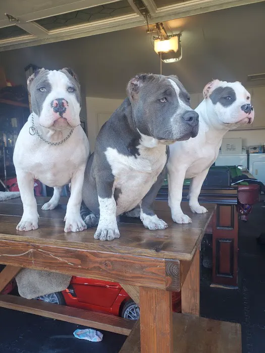 America's Country Store and Pet Resort 6