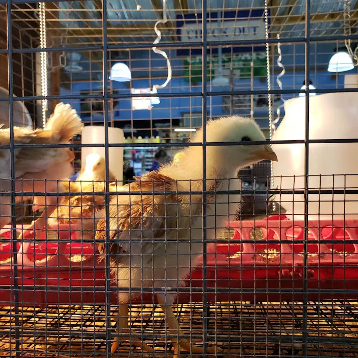 America's Country Store and Pet Resort 1