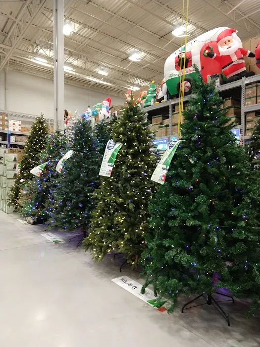 Lowe's Home Improvement 6