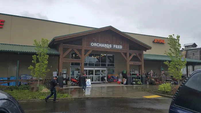 Orchards Feed 8