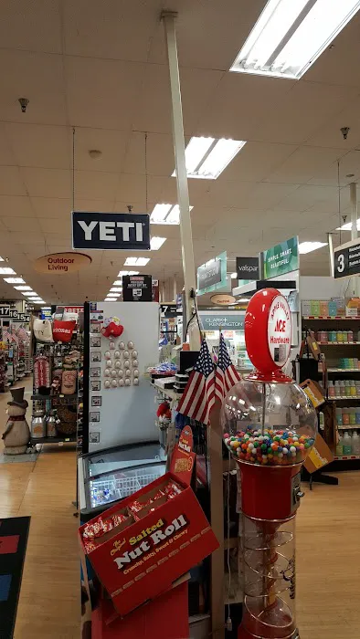 Ace Hardware & Paint 9