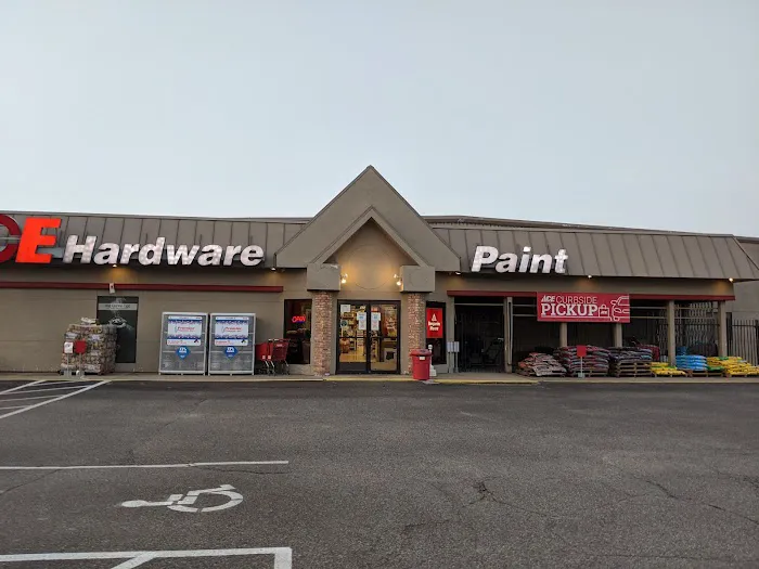 Ace Hardware & Paint 6