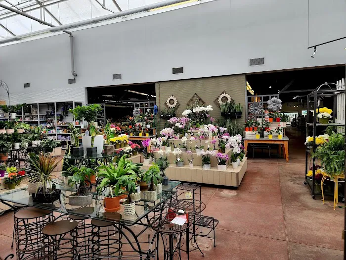 Bachman's Floral, Home & Garden 1