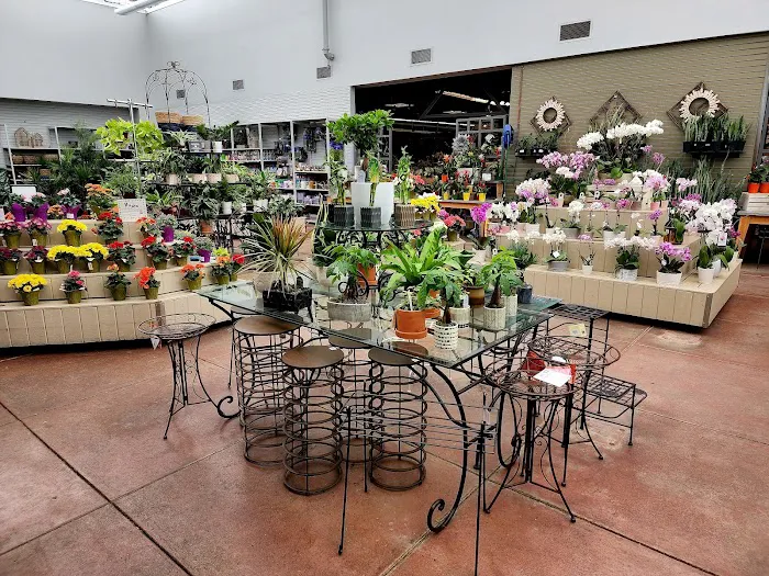 Bachman's Floral, Home & Garden 2