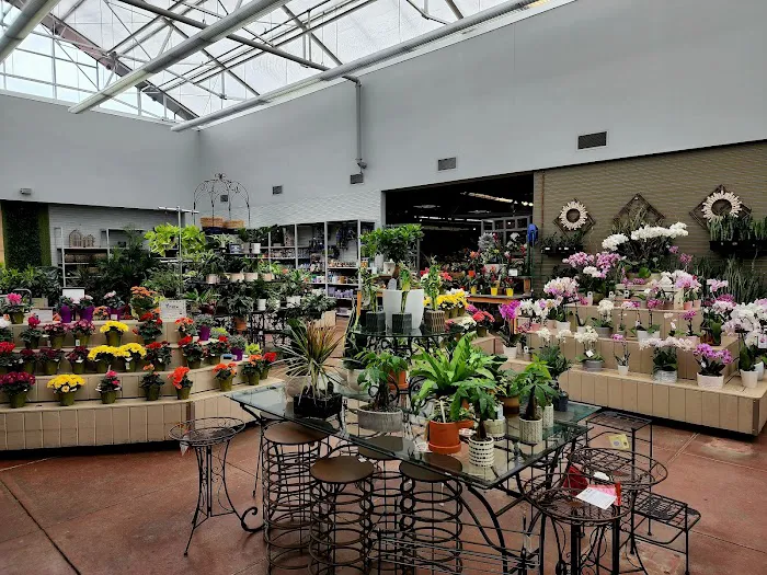 Bachman's Floral, Home & Garden 8