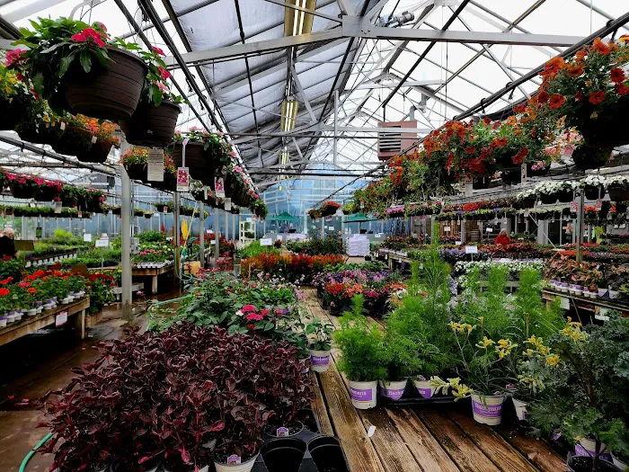Bachman's Floral, Home & Garden 9
