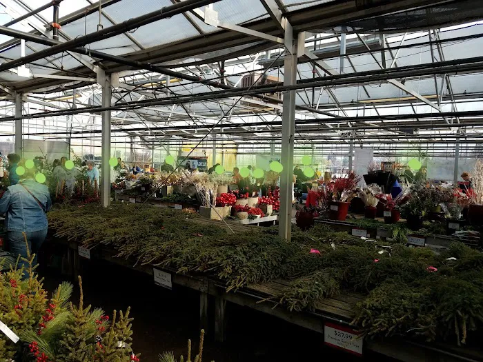 Bachman's Floral, Home & Garden 6