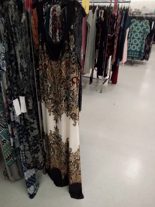 bealls 5