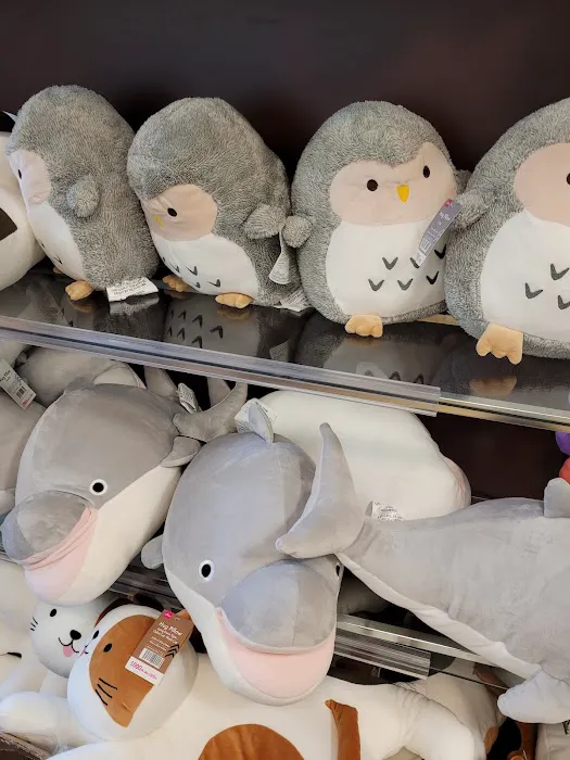 Daiso - Japanese Household Goods 3