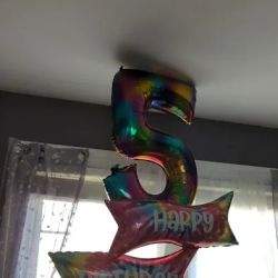 Party Fair ico