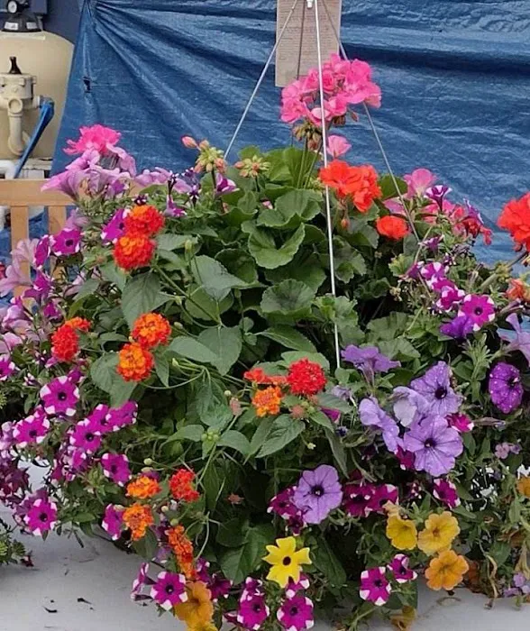 Frattallone's Hardware & Garden 9