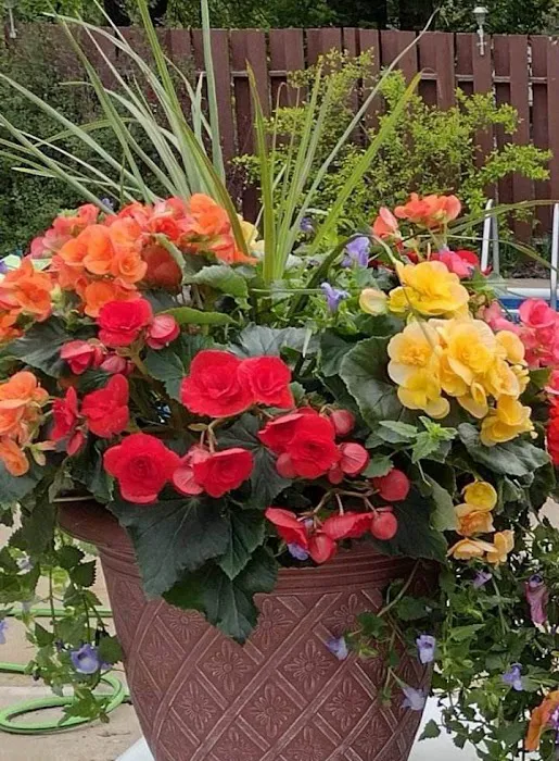 Frattallone's Hardware & Garden 6