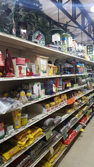 Euston Hardware 4