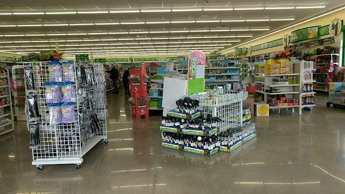 Dollar Tree 0